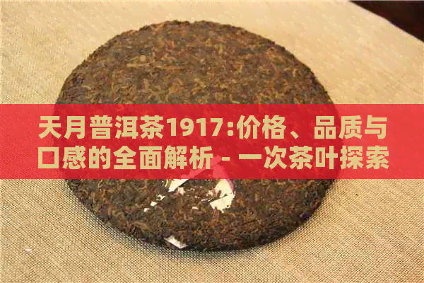 天月普洱茶1917:价格、品质与口感的全面解析 - 一次茶叶探索之旅