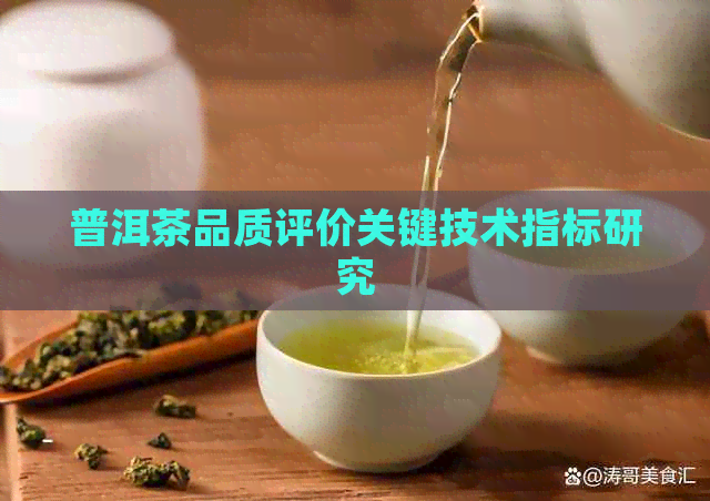 普洱茶品质评价关键技术指标研究