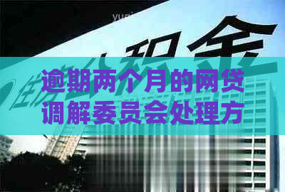 逾期两个月的网贷调解委员会处理方式及相关问题解答