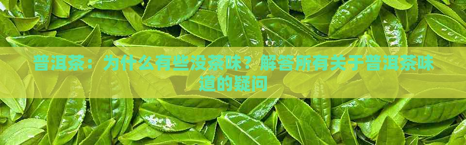 普洱茶：为什么有些没茶味？解答所有关于普洱茶味道的疑问