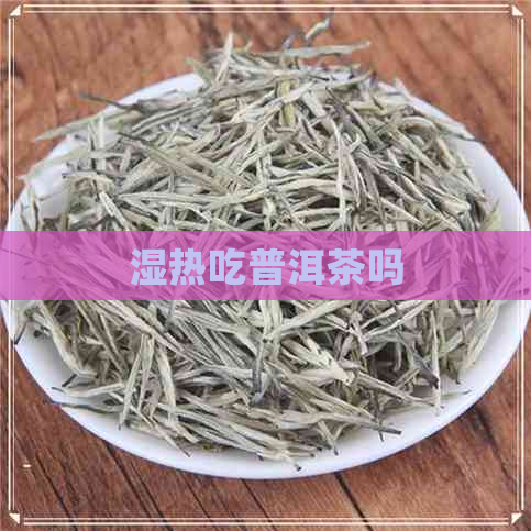 湿热吃普洱茶吗