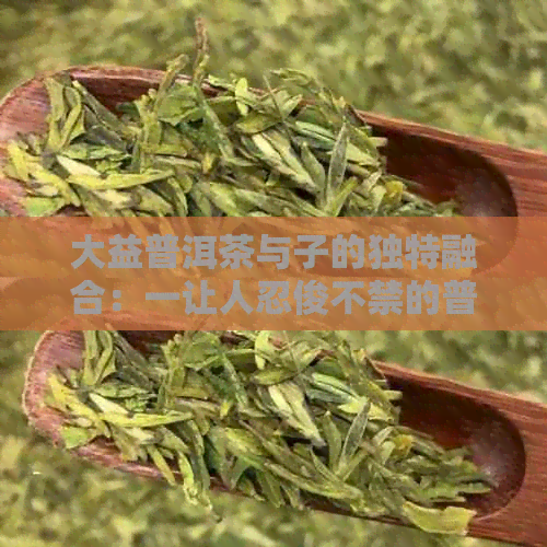 大益普洱茶与子的独特融合：一让人忍俊不禁的普洱茶故事