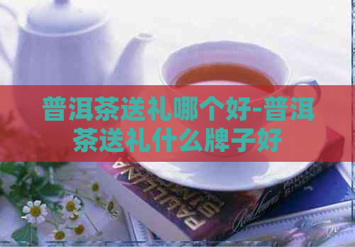 普洱茶送礼哪个好-普洱茶送礼什么牌子好