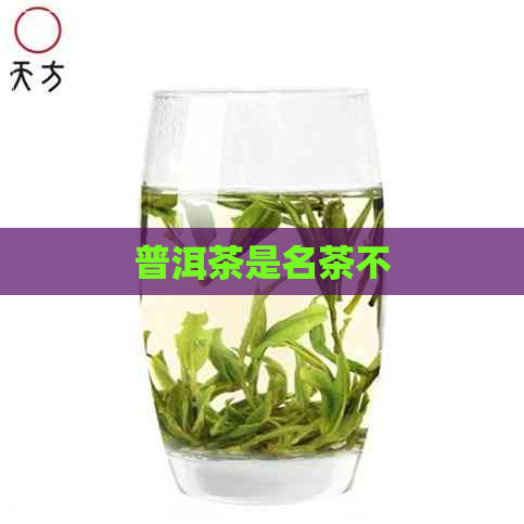 普洱茶是名茶不