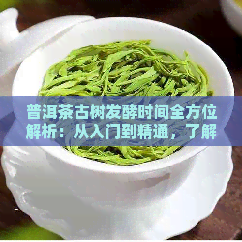 普洱茶古树发酵时间全方位解析：从入门到精通，了解不同种类茶叶的发酵周期