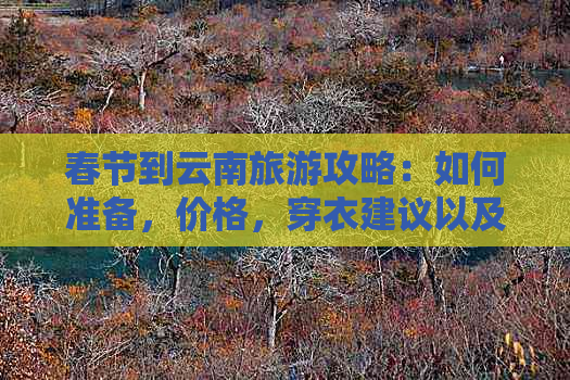 春节到云南旅游攻略：如何准备，价格，穿衣建议以及交通情况