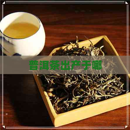 普洱茶出产于哪