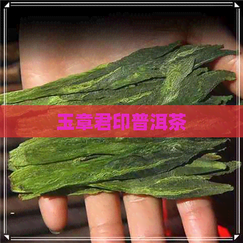 玉章君印普洱茶