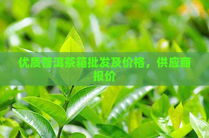 优质普洱茶箱批发及价格，供应商报价