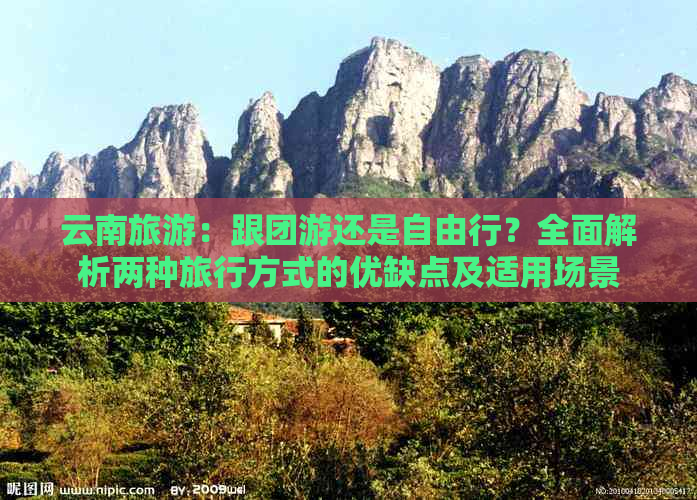 云南旅游：跟团游还是自由行？全面解析两种旅行方式的优缺点及适用场景