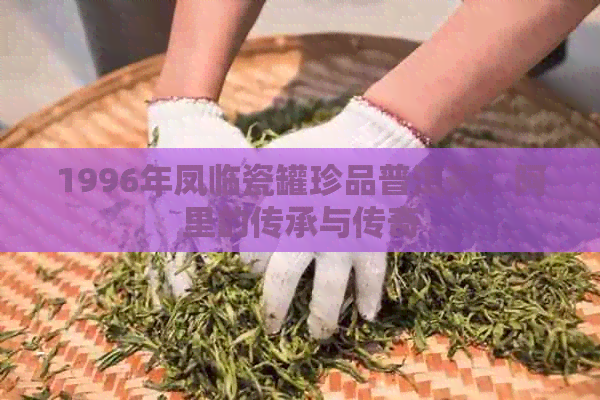 1996年凤临瓷罐珍品普洱茶：阿里的传承与传奇