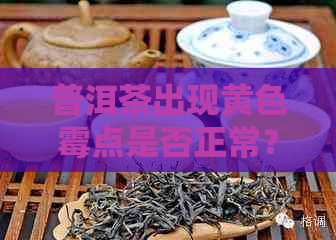 普洱茶出现黄色霉点是否正常？能否继续饮用？