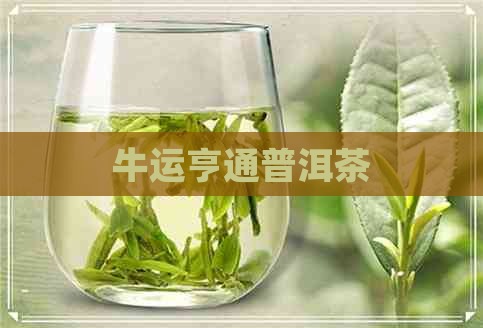 牛运亨通普洱茶