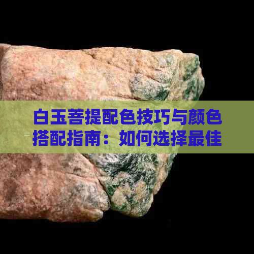 白玉菩提配色技巧与颜色搭配指南：如何选择更佳配珠颜色