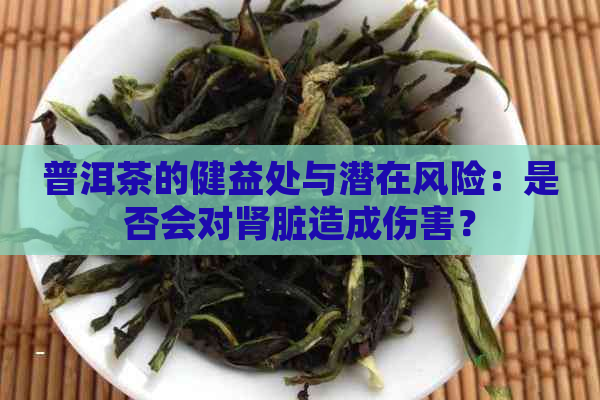 普洱茶的健益处与潜在风险：是否会对肾脏造成伤害？