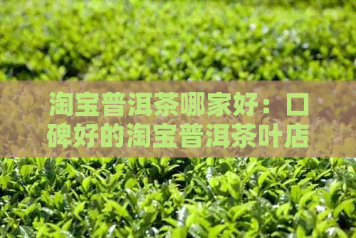 淘宝普洱茶哪家好：口碑好的淘宝普洱茶叶店推荐