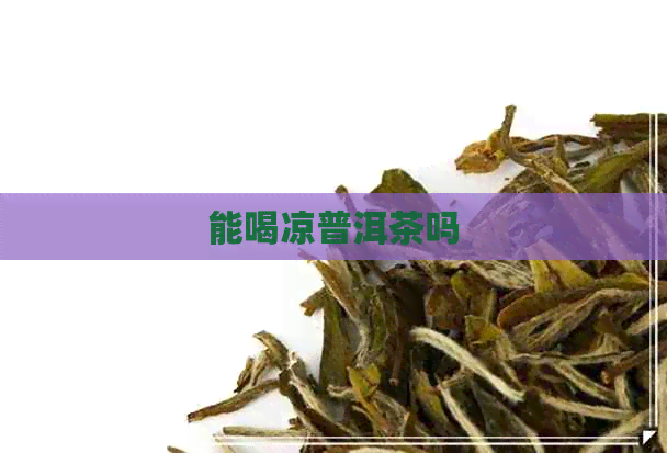 能喝凉普洱茶吗