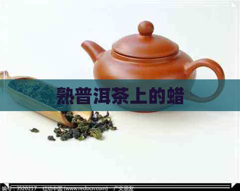 熟普洱茶上的蜡