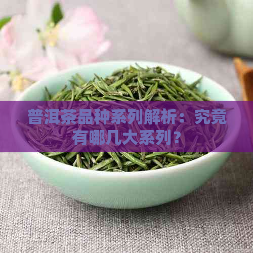 普洱茶品种系列解析：究竟有哪几大系列？