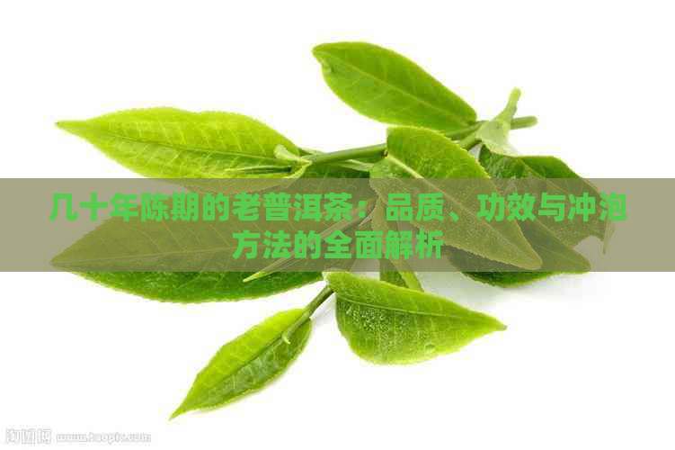 几十年陈期的老普洱茶：品质、功效与冲泡方法的全面解析