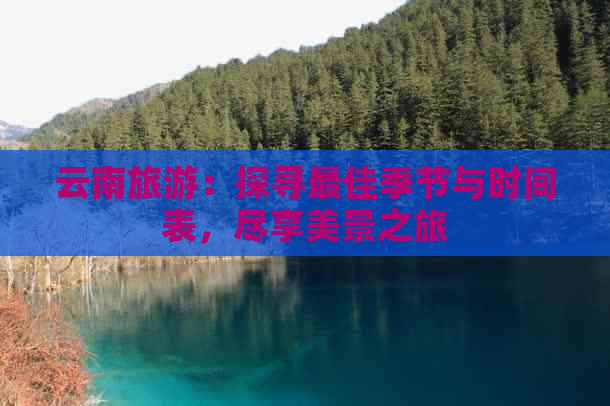 云南旅游：探寻更佳季节与时间表，尽享美景之旅