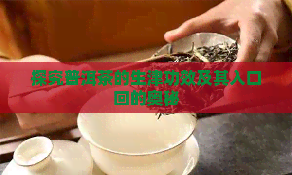 探究普洱茶的生津功效及其入口回的奥秘