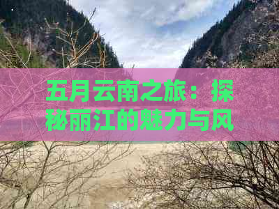 五月云南之旅：探秘丽江的魅力与风情