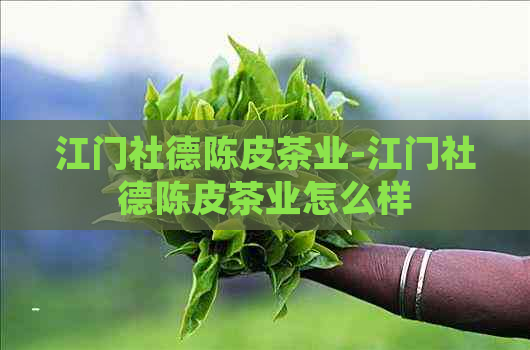 江门社德陈皮茶业-江门社德陈皮茶业怎么样