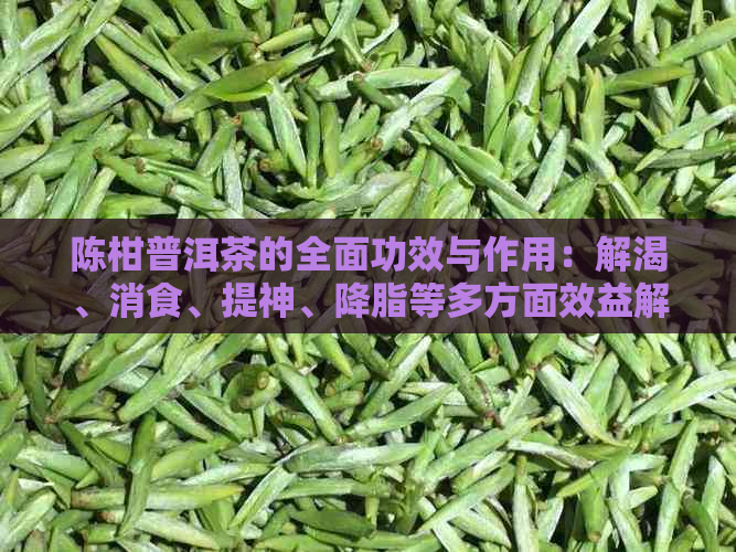 陈柑普洱茶的全面功效与作用：解渴、消食、提神、降脂等多方面效益解析