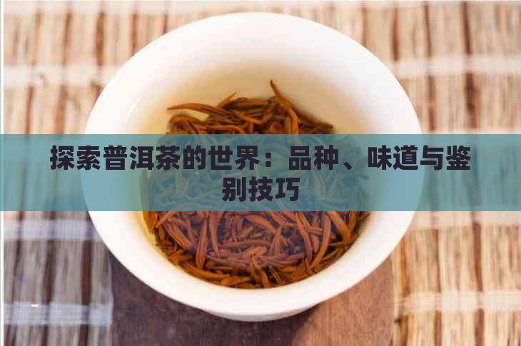 探索普洱茶的世界：品种、味道与鉴别技巧