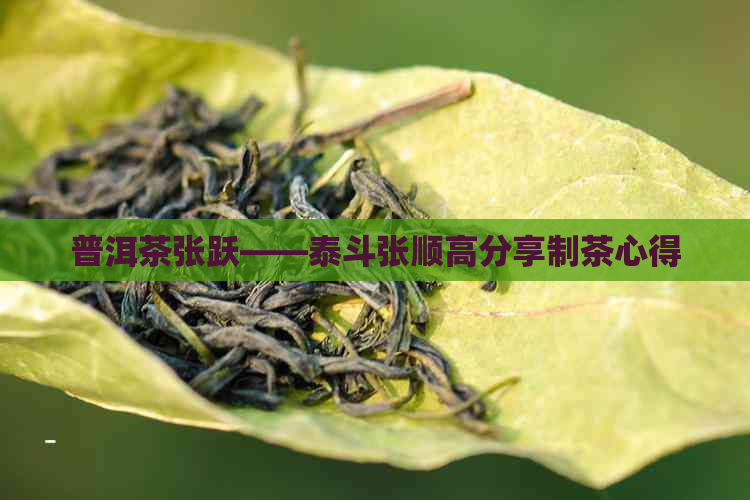 普洱茶张跃——泰斗张顺高分享制茶心得