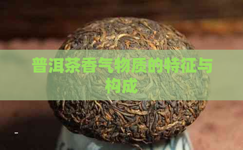 普洱茶香气物质的特征与构成