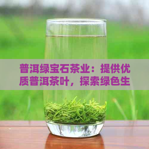 普洱绿宝石茶业：提供优质普洱茶叶，探索绿色生活之源