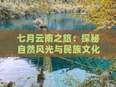 七月云南之旅：探秘自然风光与民族文化的完美结合