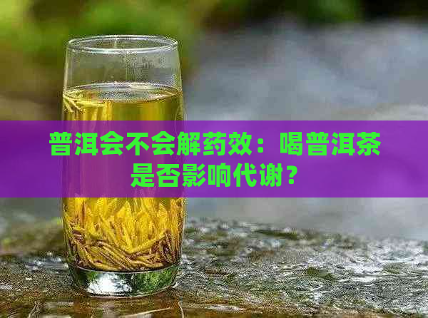 普洱会不会解药效：喝普洱茶是否影响代谢？