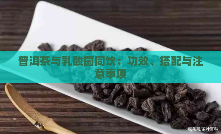 普洱茶与乳酸菌同饮：功效、搭配与注意事项