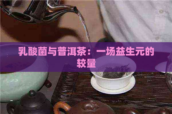 乳酸菌与普洱茶：一场益生元的较量