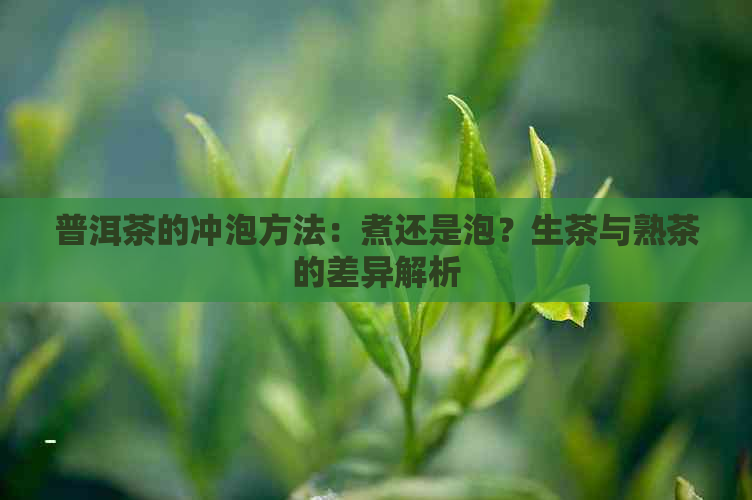 普洱茶的冲泡方法：煮还是泡？生茶与熟茶的差异解析