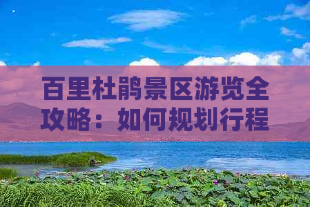 百里杜鹃景区游览全攻略：如何规划行程、交通、住宿及门票价格详解