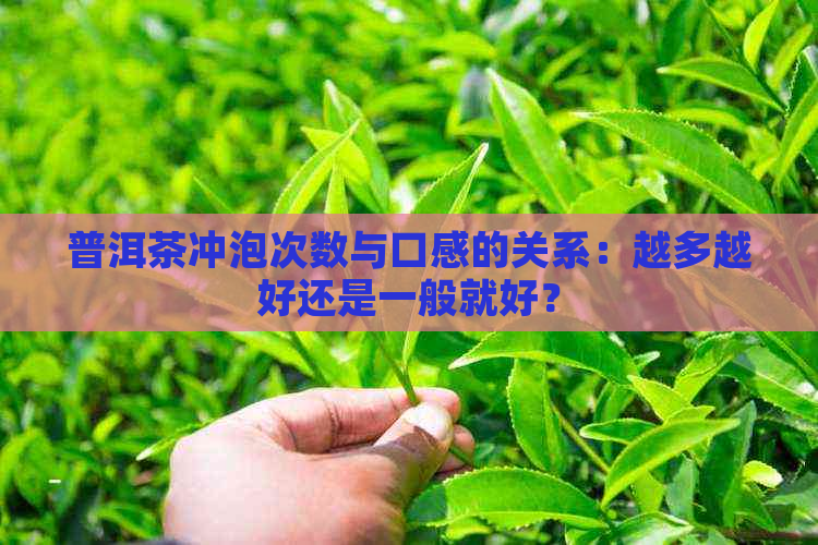 普洱茶冲泡次数与口感的关系：越多越好还是一般就好？