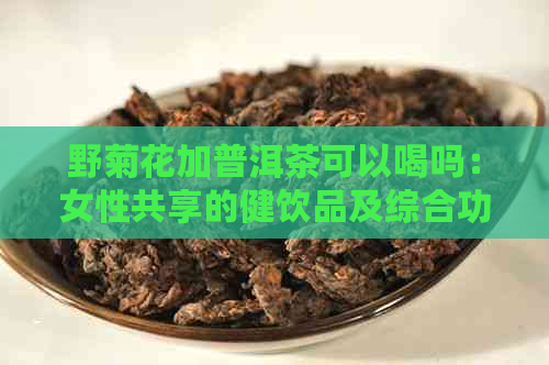 野菊花加普洱茶可以喝吗：女性共享的健饮品及综合功效