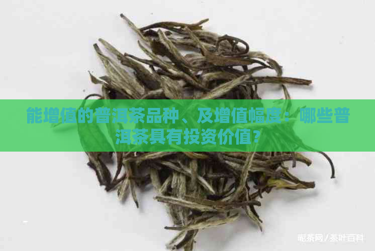 能增值的普洱茶品种、及增值幅度：哪些普洱茶具有投资价值？