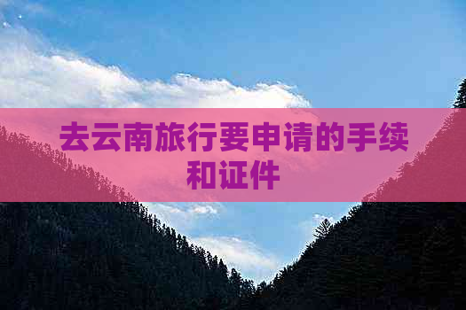 去云南旅行要申请的手续和证件