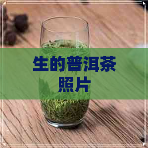 生的普洱茶照片