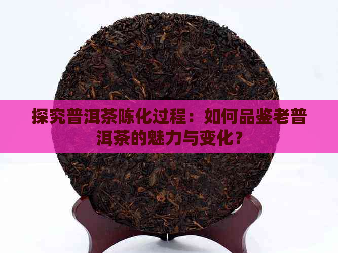 探究普洱茶陈化过程：如何品鉴老普洱茶的魅力与变化？