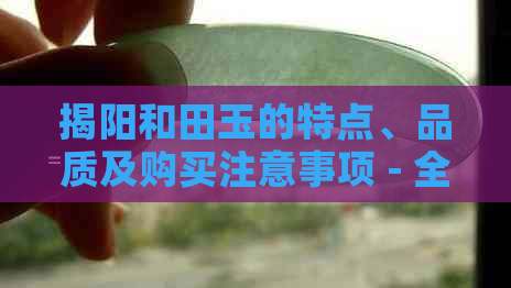 揭阳和田玉的特点、品质及购买注意事项 - 全面了解如何挑选和田玉的指南