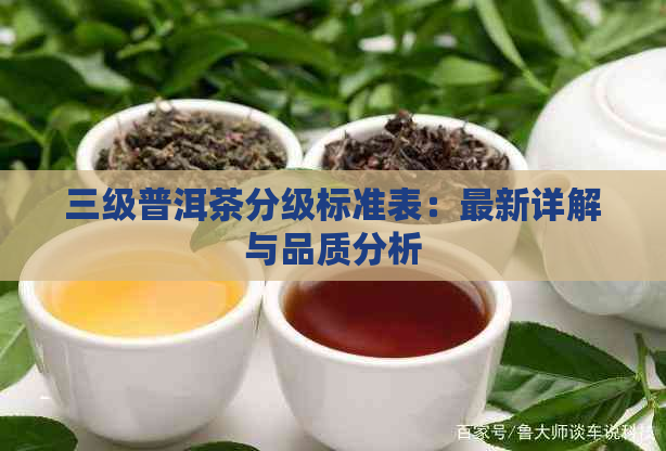 三级普洱茶分级标准表：最新详解与品质分析