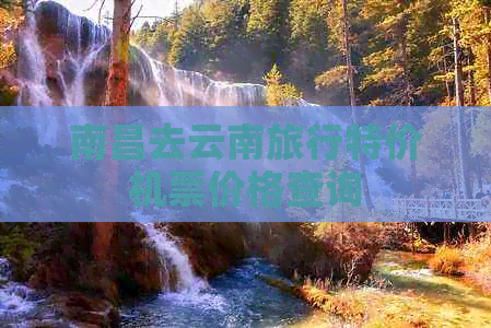 南昌去云南旅行特价机票价格查询