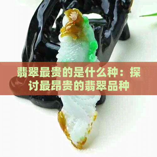 翡翠最贵的是什么种：探讨最昂贵的翡翠品种