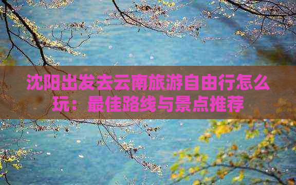 沈阳出发去云南旅游自由行怎么玩：更佳路线与景点推荐